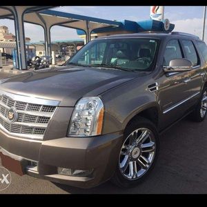 Meet your Posher, Deanielle